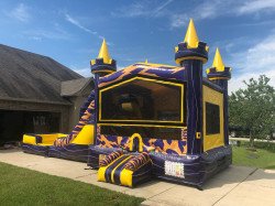 42E980E3 F315 4D42 9E86 FB9122DEDBD4 1662146178 LSU Bounce House Slide Combo (Water or Dry Slide)