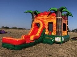 A1827BBA 320D 45D9 81C4 C957243343F2 4 5005 c 1670883819 Fiesta Crush (Waterslide or Dry Slide)