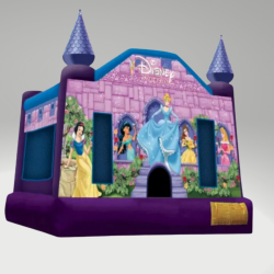 Disney Princess Combo (Water or Dry Slide)