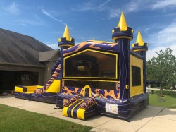 42E980E3 F315 4D42 9E86 FB9122DEDBD4 1662146178 1 LSU Bounce House Slide Combo (Water or Dry Slide)