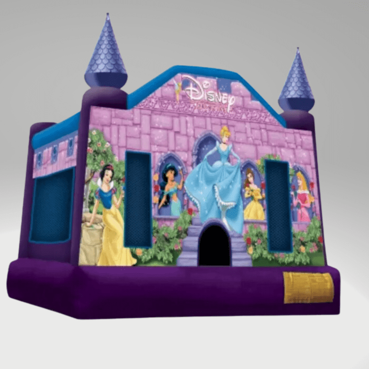 Disney Princess Combo (Water or Dry Slide)