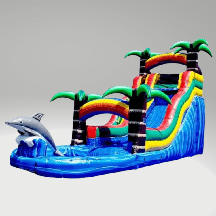 Rainbow Dolphin 18ft